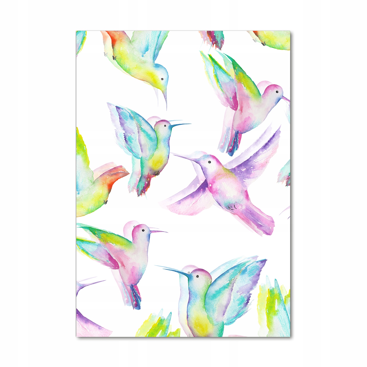 

Foto obraz szkło akrylowe Kolorowe kolibry 70x100