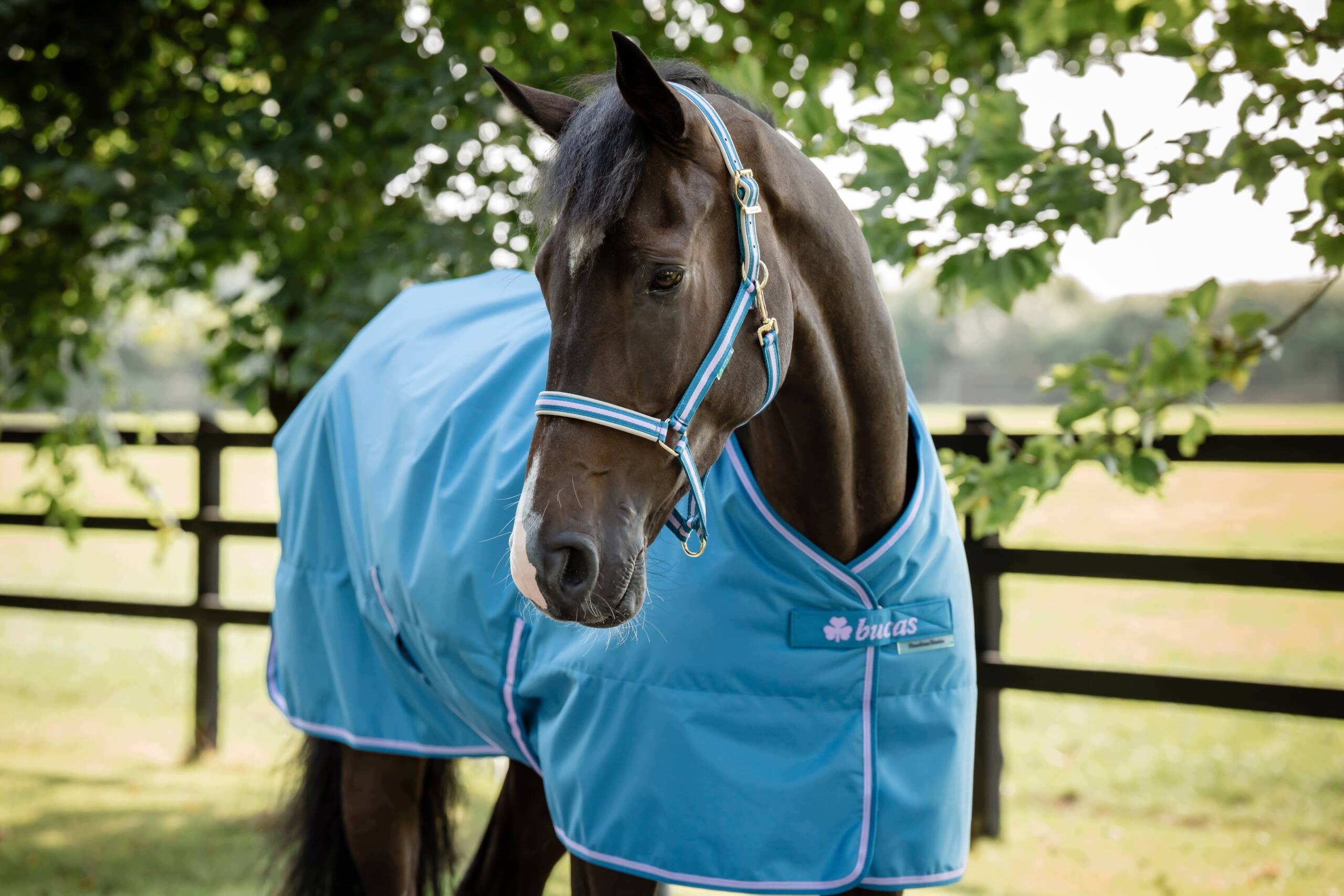 Derka stajenna Freedom Stable 150g Bucas podszewką Silk-feel blueberry 145