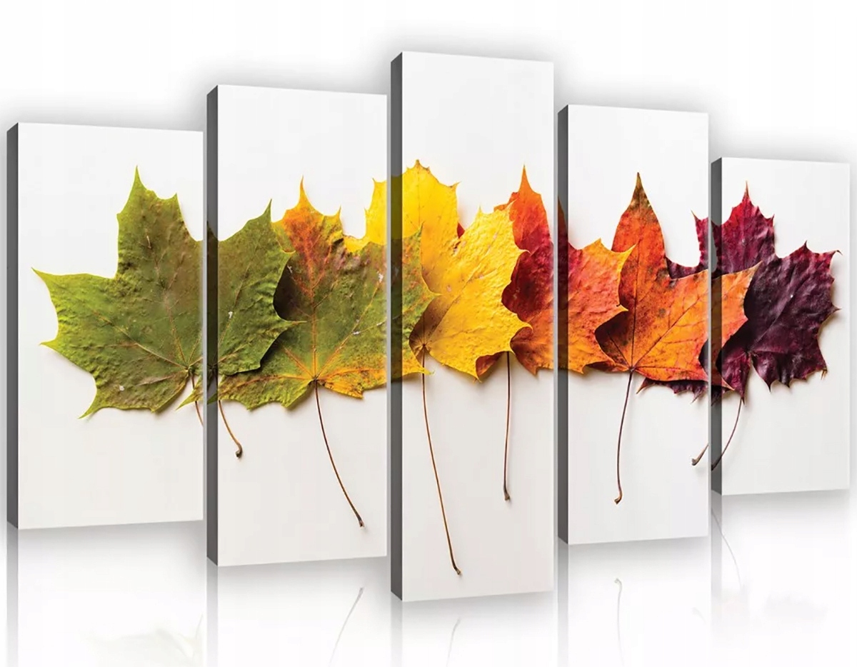 Obraz Na Plátně Canvas 100x60 Listy Javor Podzim