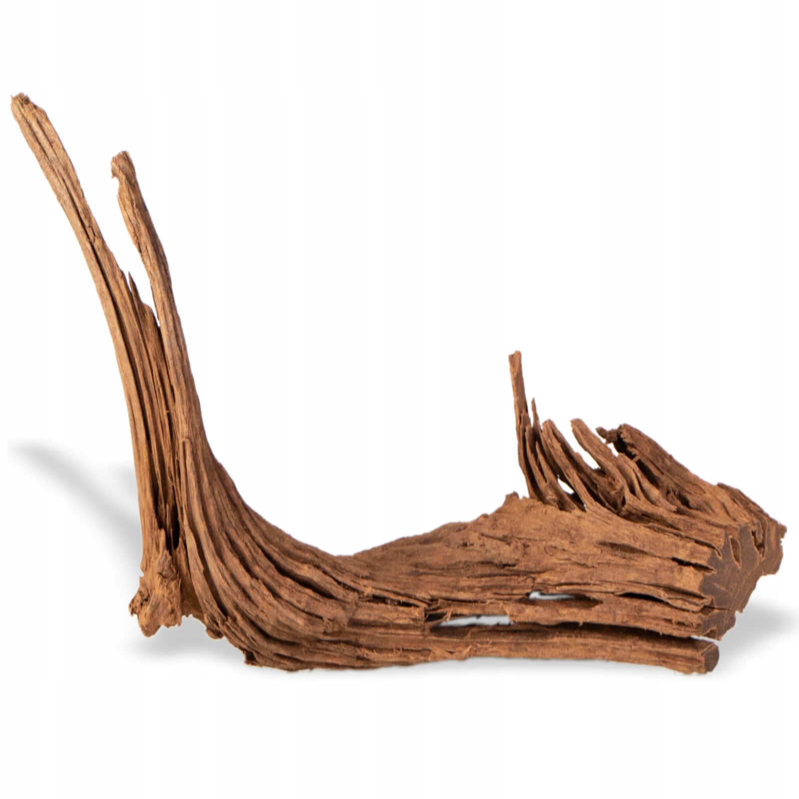 Kořen Driftwood Pro Akvárium Přírodní M 25-30 CM, Dekorace, Ozdoba