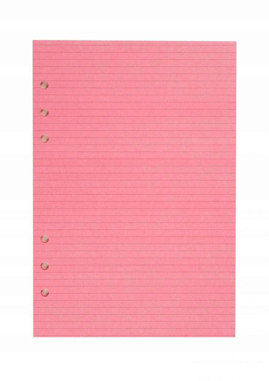 WKŁAD DO ORGANIZERA A5 LINIA CZERWONA ANTRA, ANTRA