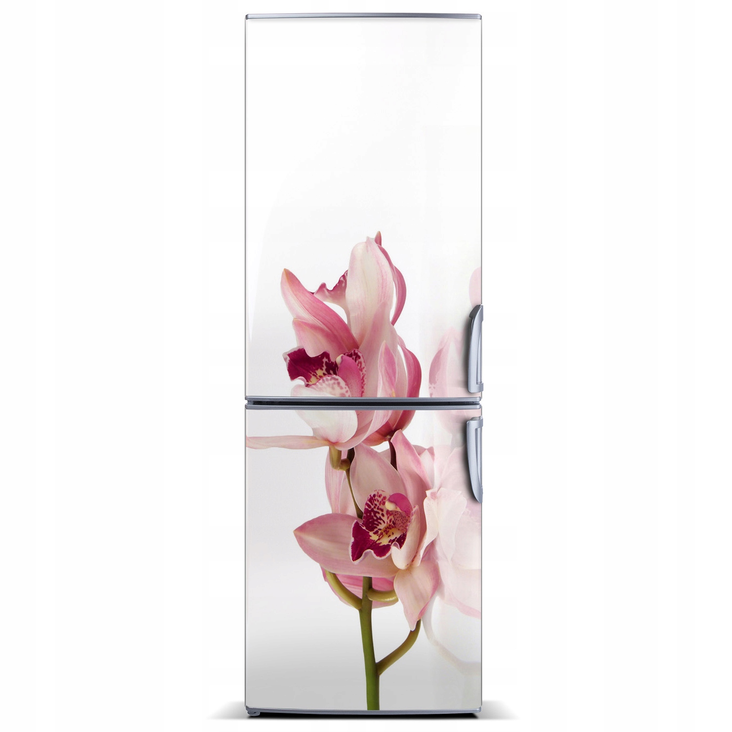 

Foto Magnes Tapeta na lodówkę Różowa orchidea XL