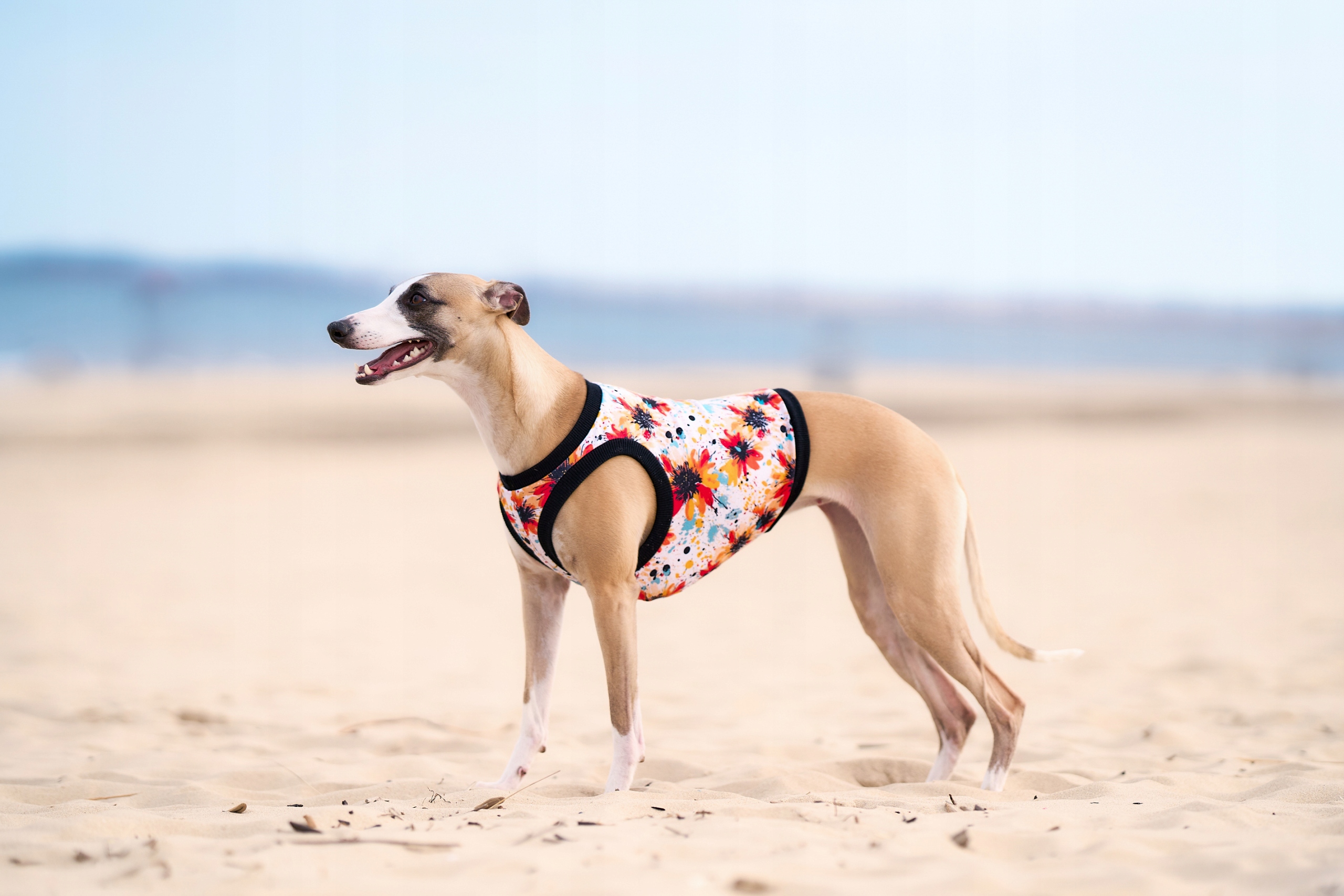 Levně Oblečení pro whippeta tepláková mikina bez rukávů