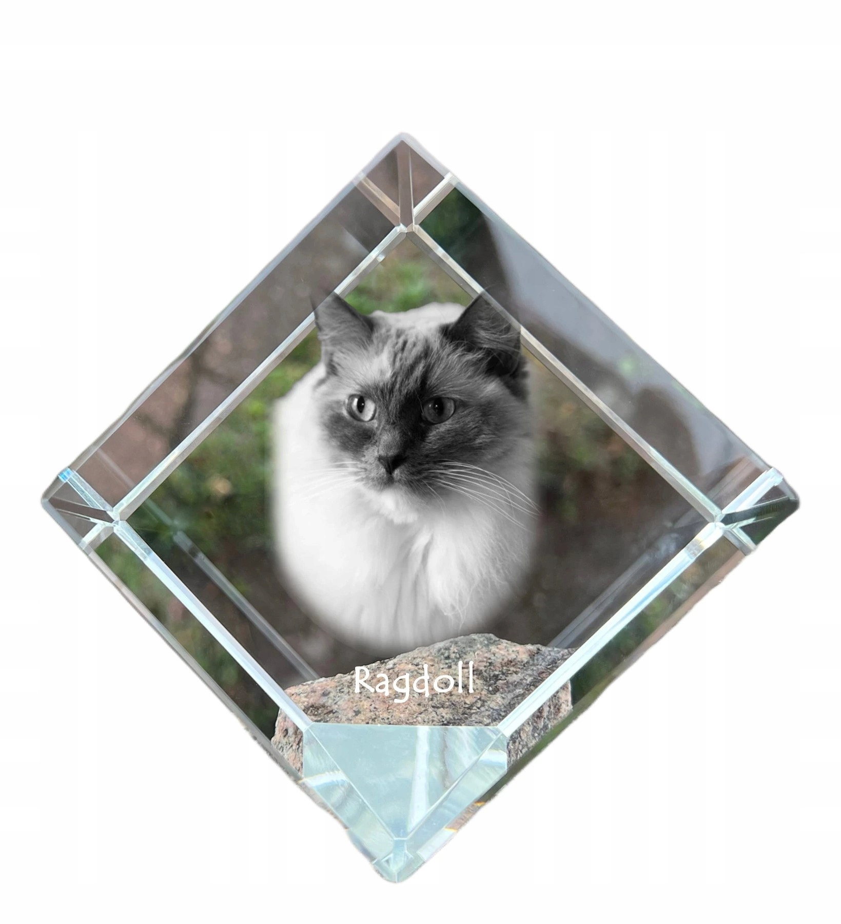 Mačka Ragdoll krištáľová kocka s fotografiou mačky, ozdoba do kancelárie
