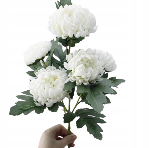 CHRYZANTEMA BIAŁA BUKIET 5 GŁÓW ŚR. GŁOWY 10 CM