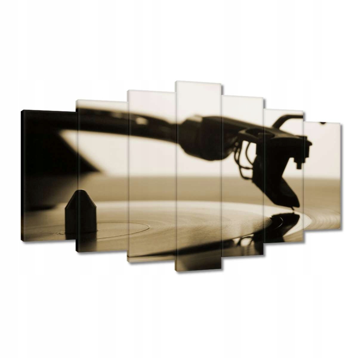 Obrazy 140x80 Vinylová deska