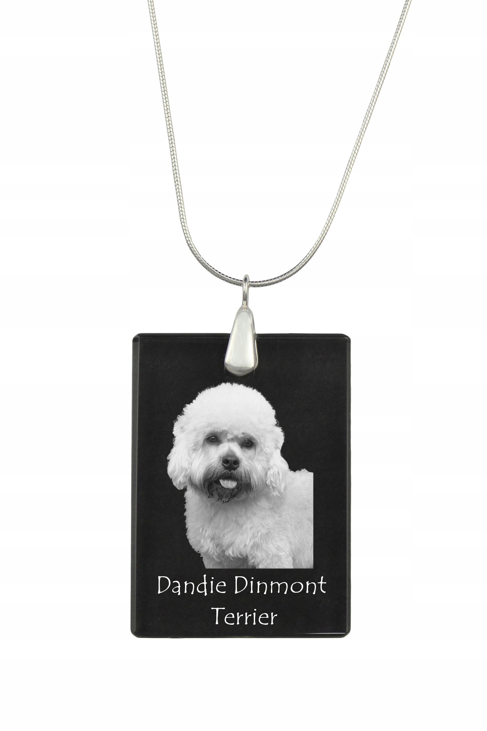 Dandie Dinmont teriér stříbrný náhrdelník s křišťálovým přívěskem se psem