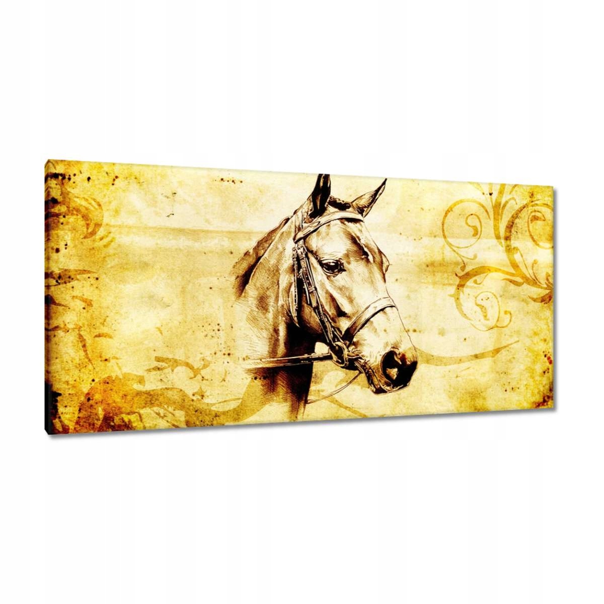 Obrazy 115x55 Hlava koně