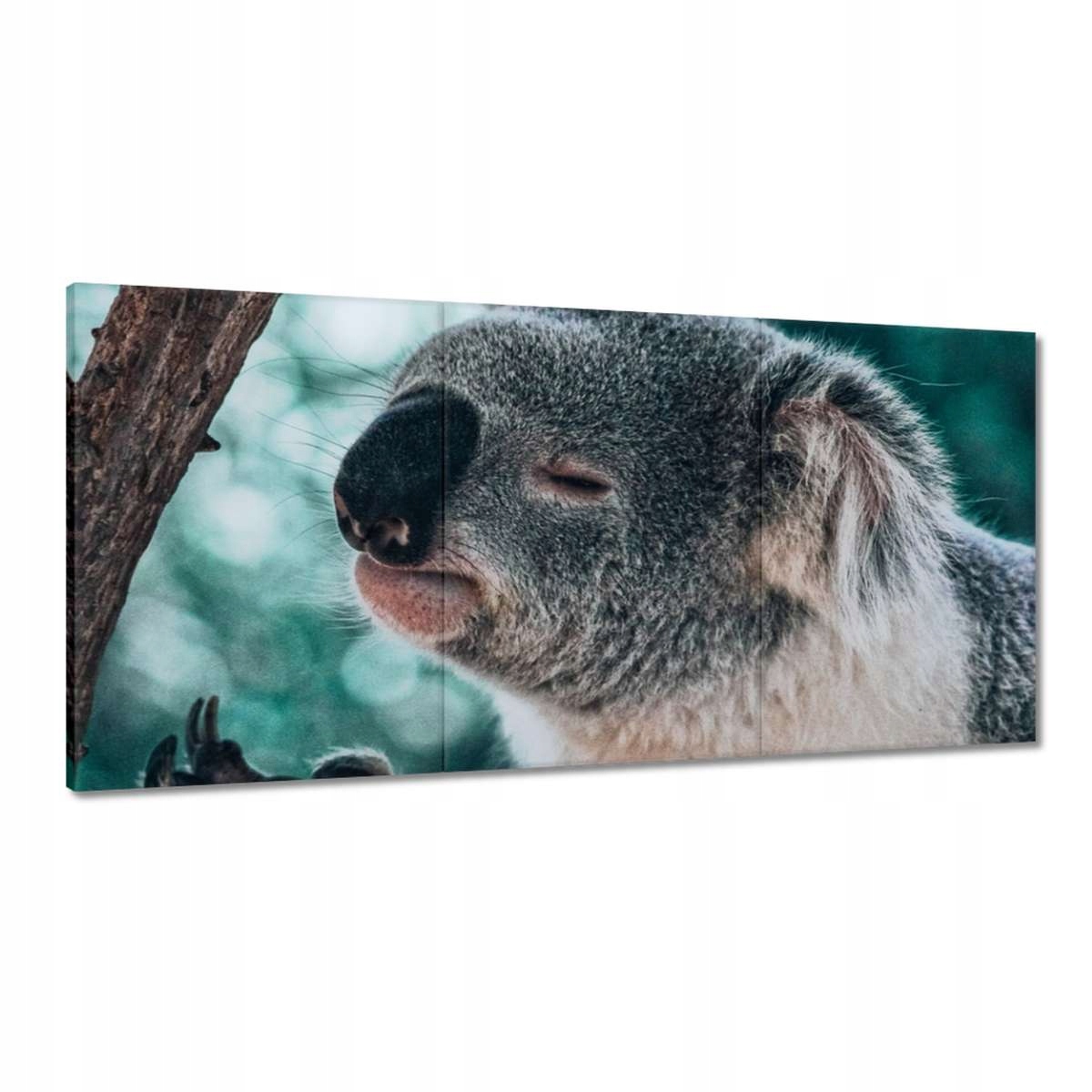 Obrazy 120x60 Zvířata Zvířátka