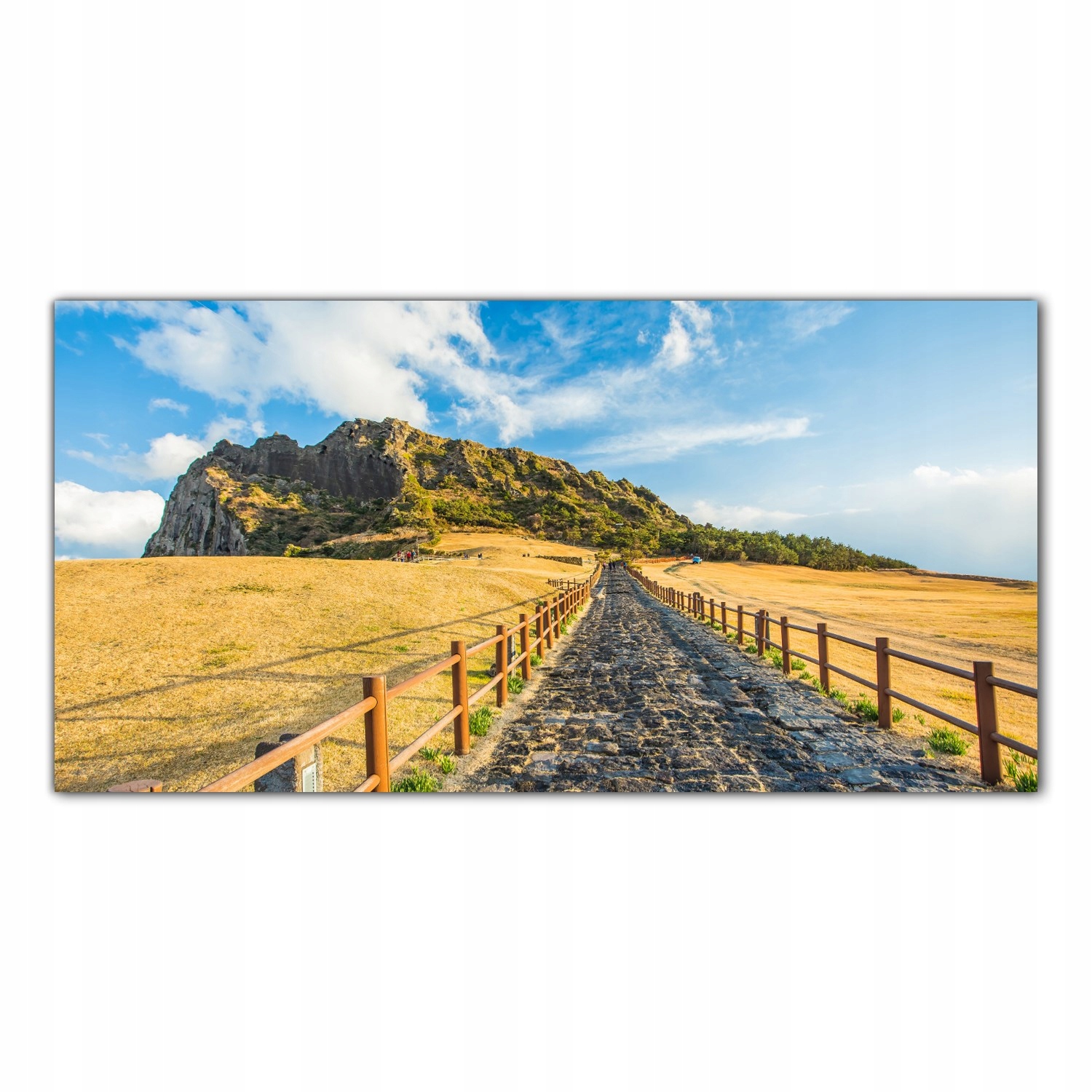 Korea Ostrov Příroda 100x50 Skleněný panel do kuchyně