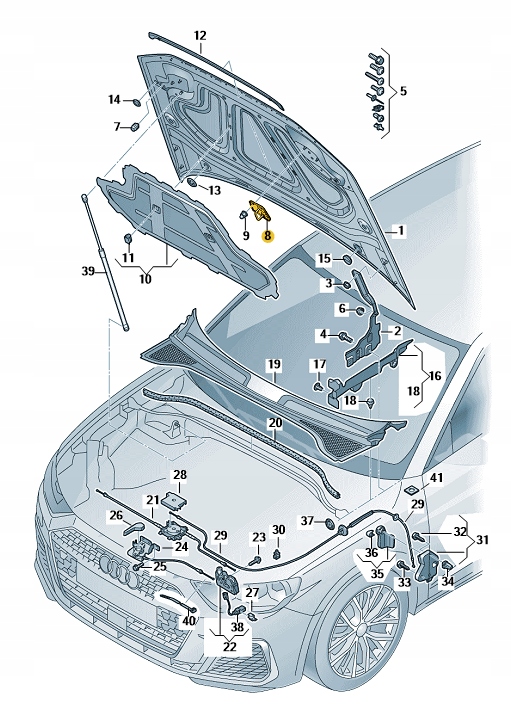 RYGIEL PRZEDNIEJ MASKI LEWY AUDI A3 8Y RS3 ORYGINAŁ OD ASO Typ samochodu 4x4/SUV Samochody osobowe