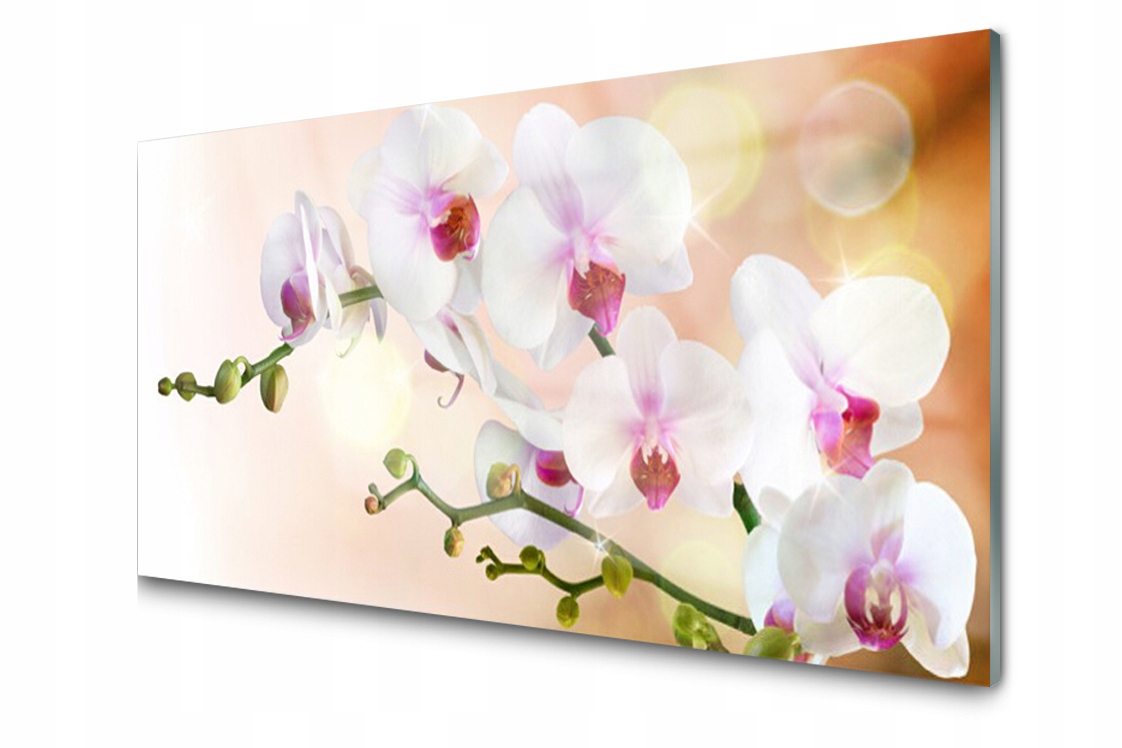 

Panel szklany Płytka Kwiaty Roślina 140x70