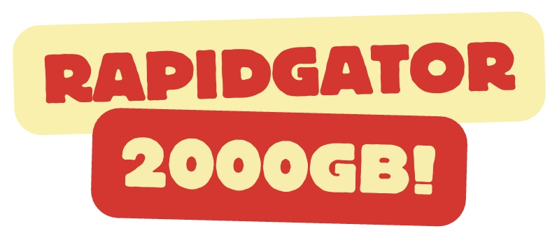 2000GB RAPIDGATOR NET - PREMIUM SERWIS DO RAPIDGATOR NET RG TO - 2TB