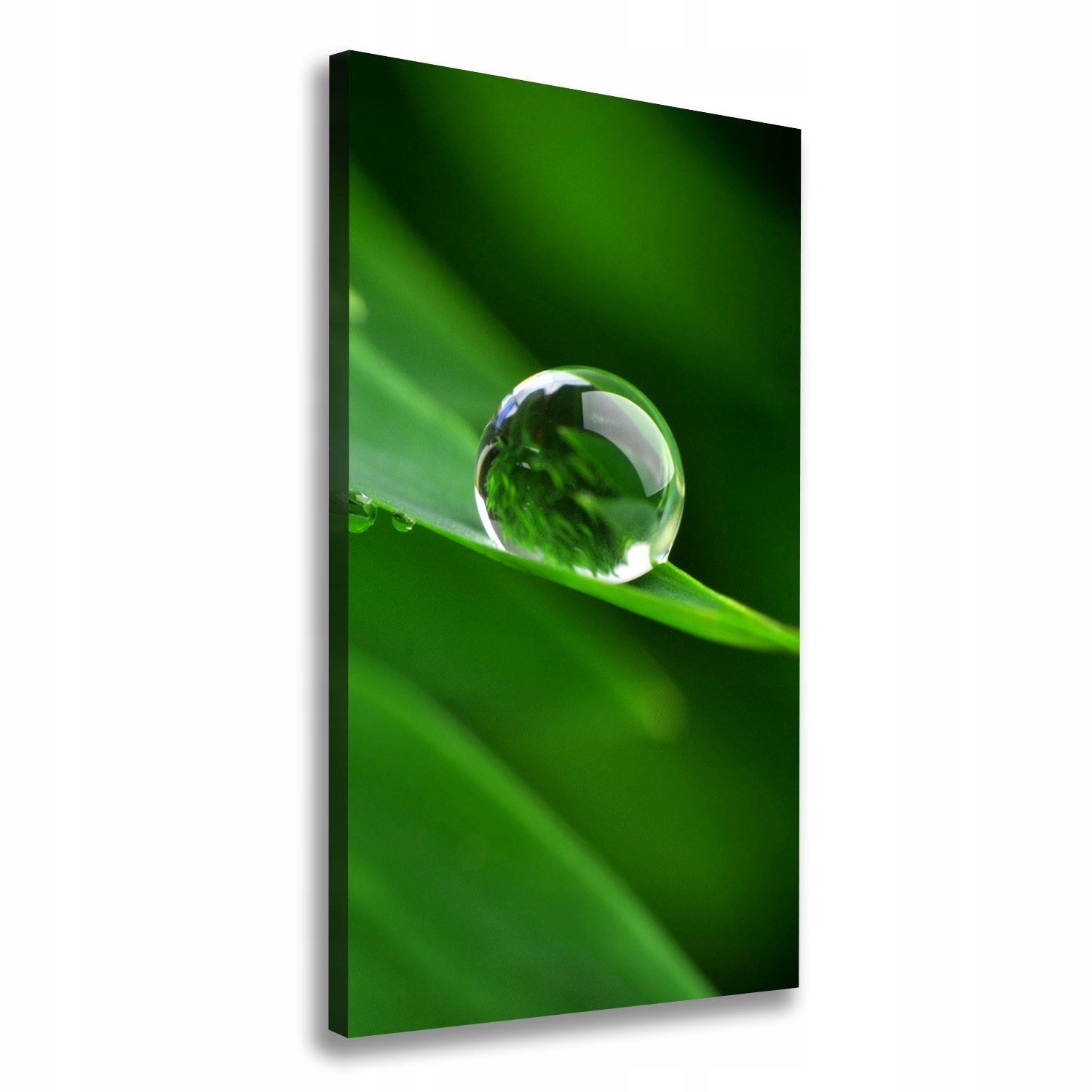 

Foto obraz canvas do salonu Źdźbło trawy 60x120