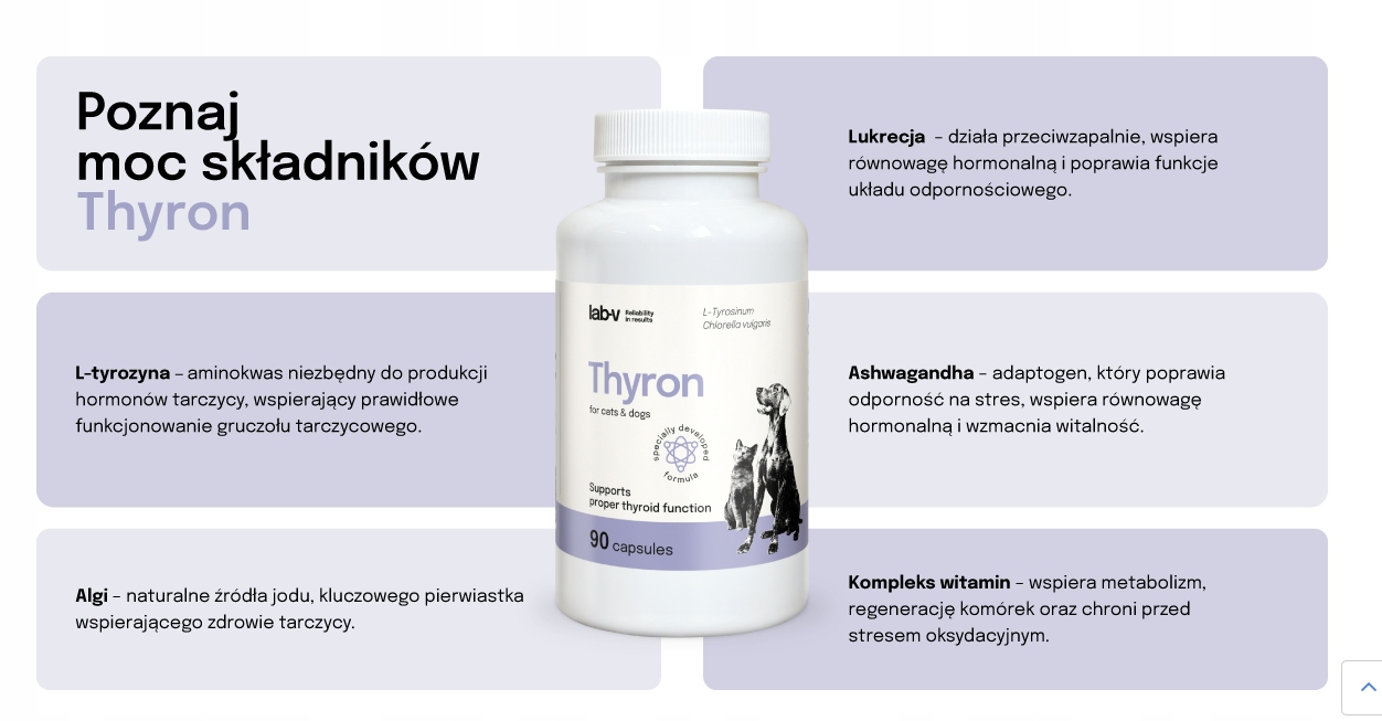 Lab-V THYRON 90 kapsułek Marka bez marki