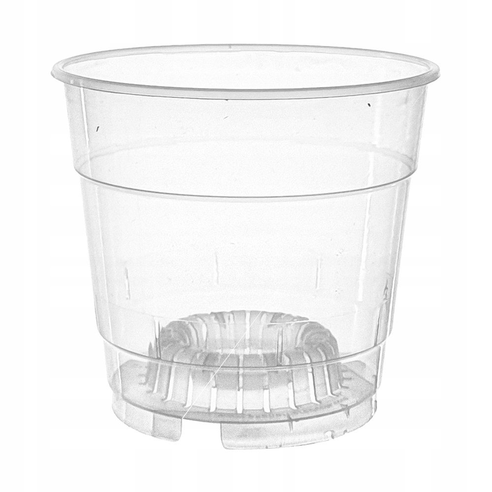 DONICZKA STORCZYK transparentna produkcyjna 12