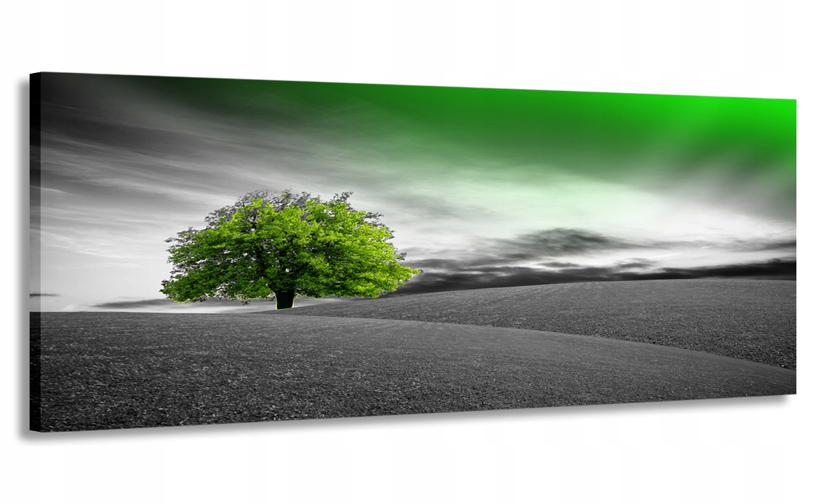 Obraz Panorama Šedý Zelený 150x60 Do Obývacího Pokoje