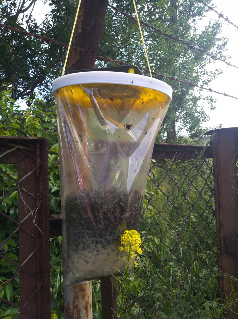 PUŁAPKA WOREK na MUCHY muchołapka z workiem HIT !! Producent One Shot