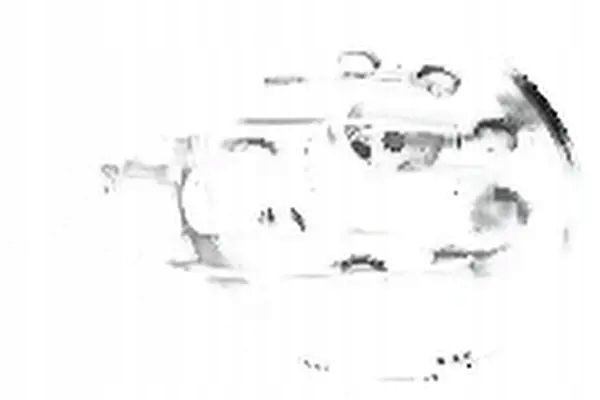 Corteco 49419115 zestaw koła pasowego, wał korbowy