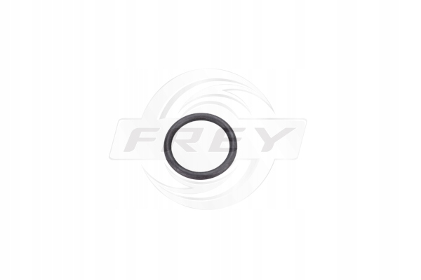 FREY O-RING BMW 17222245358
