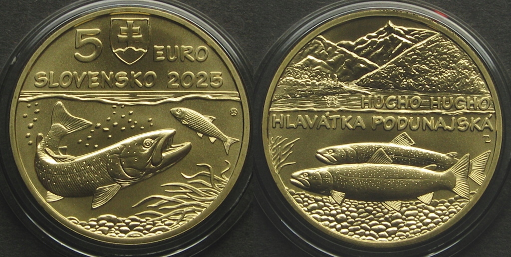 SŁOWACJA 5 Euro 2025, głowacica dunajska