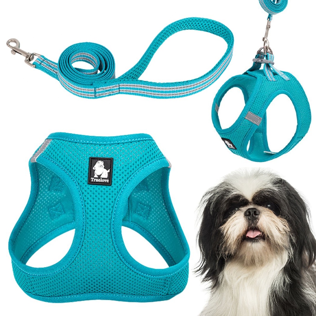Levně Postroj Vodítko Pro Malého Psa Kočku Lehké Truelove Mini Modré S Sada
