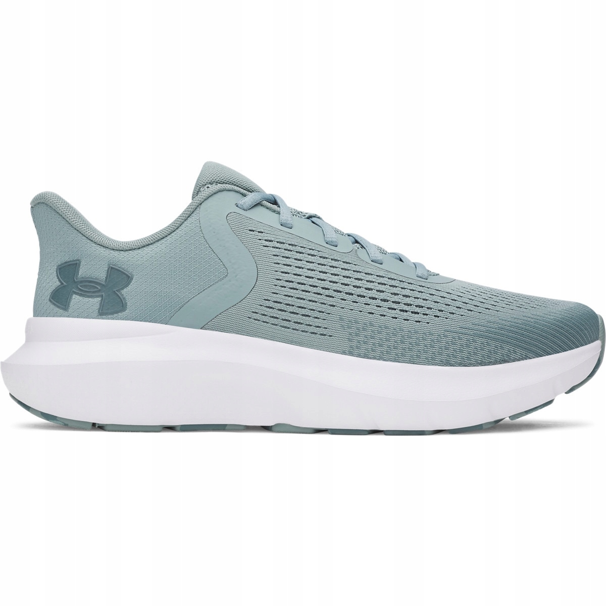 Męskie buty do biegania Under Armour Ua Charged Rogue 5 niebieskie 43