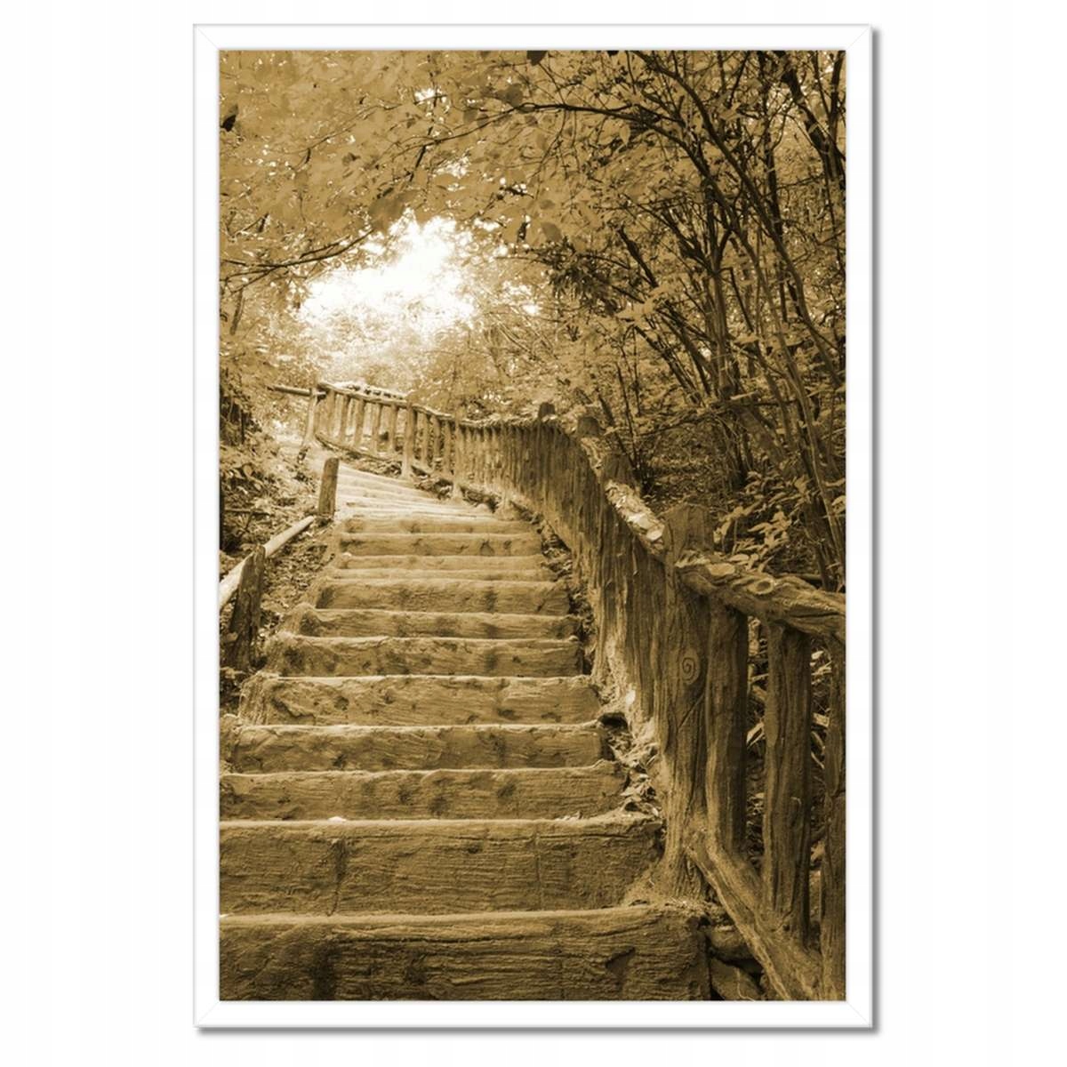 Plakáty v rámu 40x60 Schody v barvě sépie
