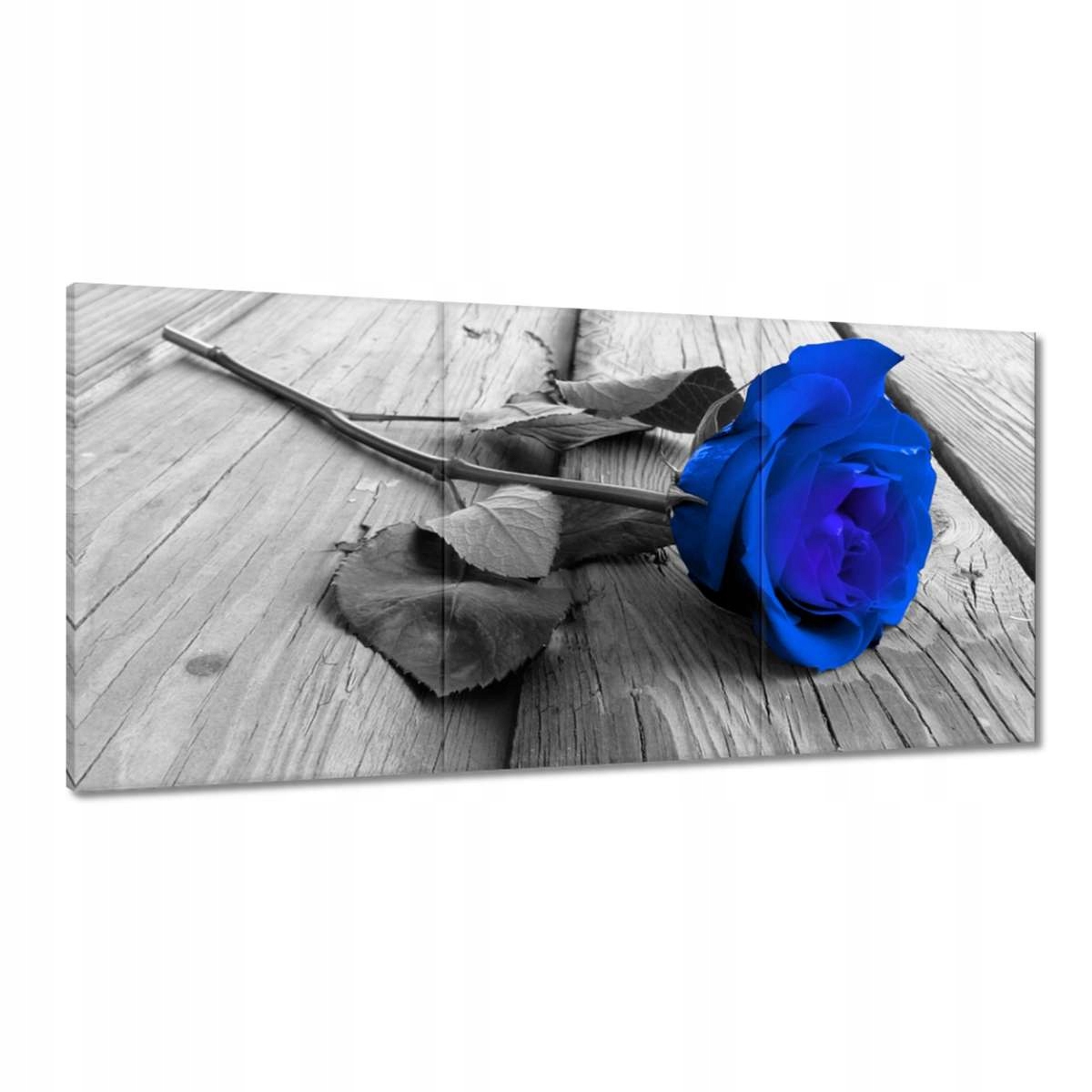 Obrazy 180x90 Atramentová ruža