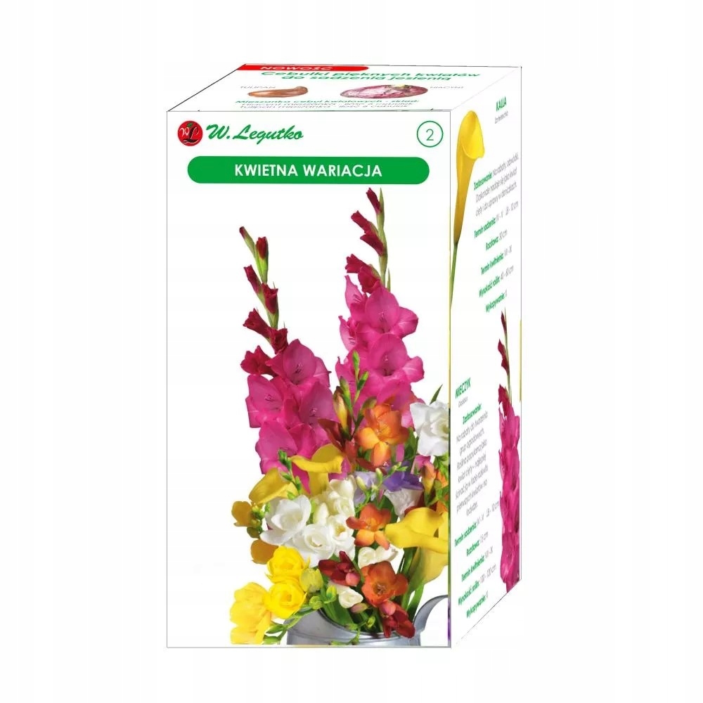 LEGUTKO KWIETNA WARIACJA - KOMPOZYCJA CEBUL 18SZT.