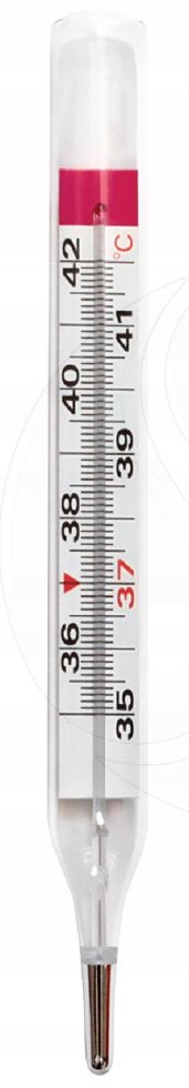 MEDYCZNY TERMOMETR SZKLANY BEZ RTĘCIOWY+ETUI LUPA EAN (GTIN) 5907572329940