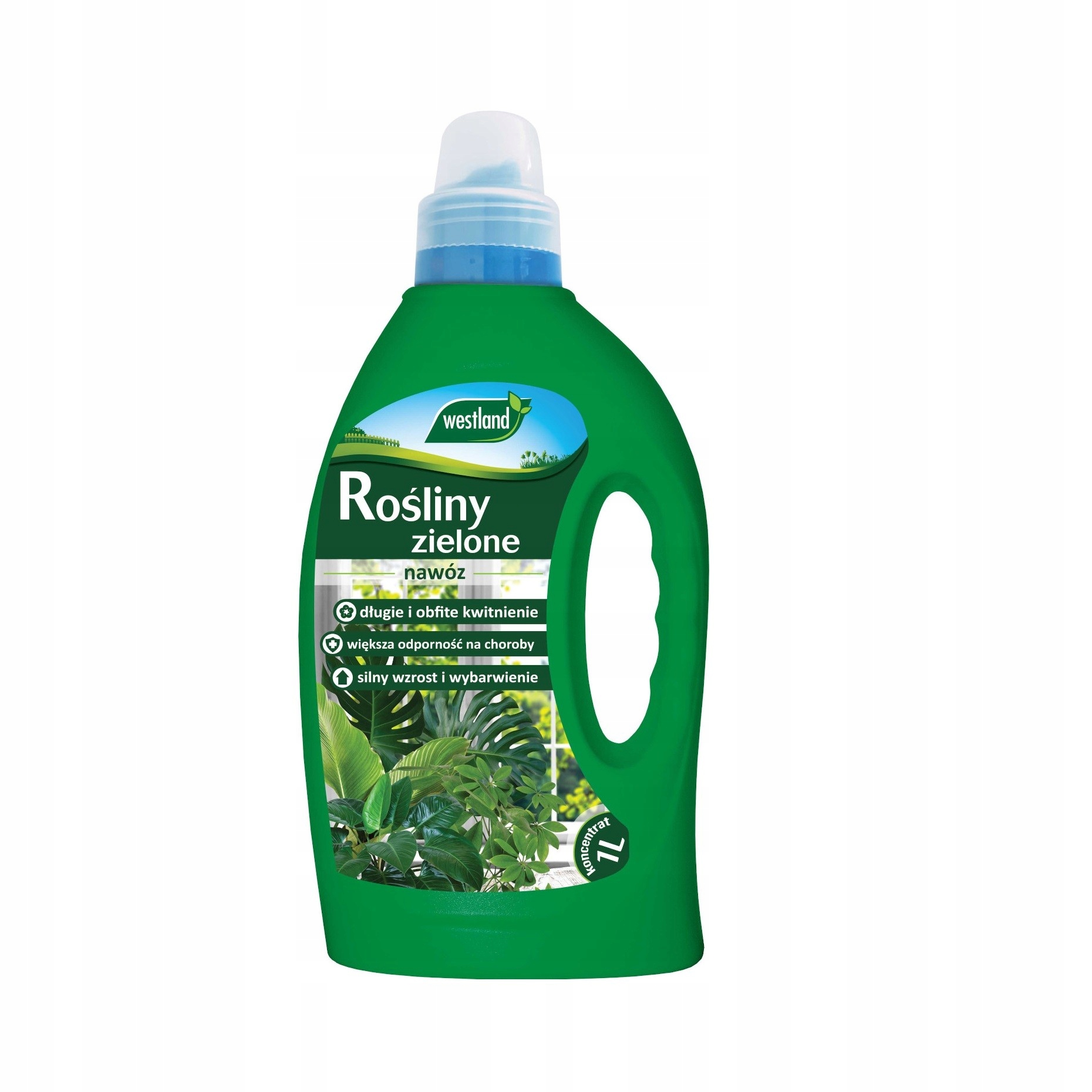 

Nawóz w płynie do roślin zielonych 1L