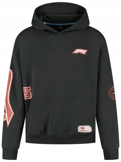 Mikina F1 Legacy Graphic Hoodie vel. L