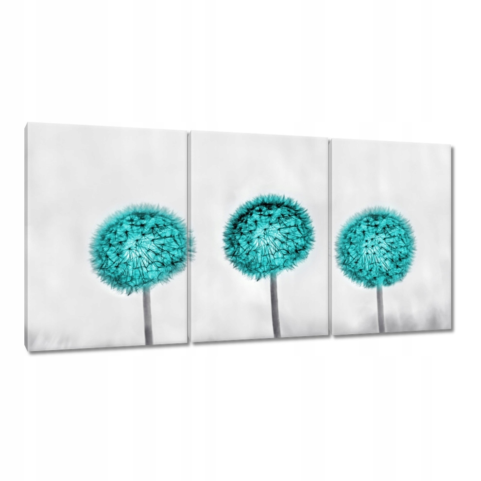 

Obrazy 240x120 Dmuchawce