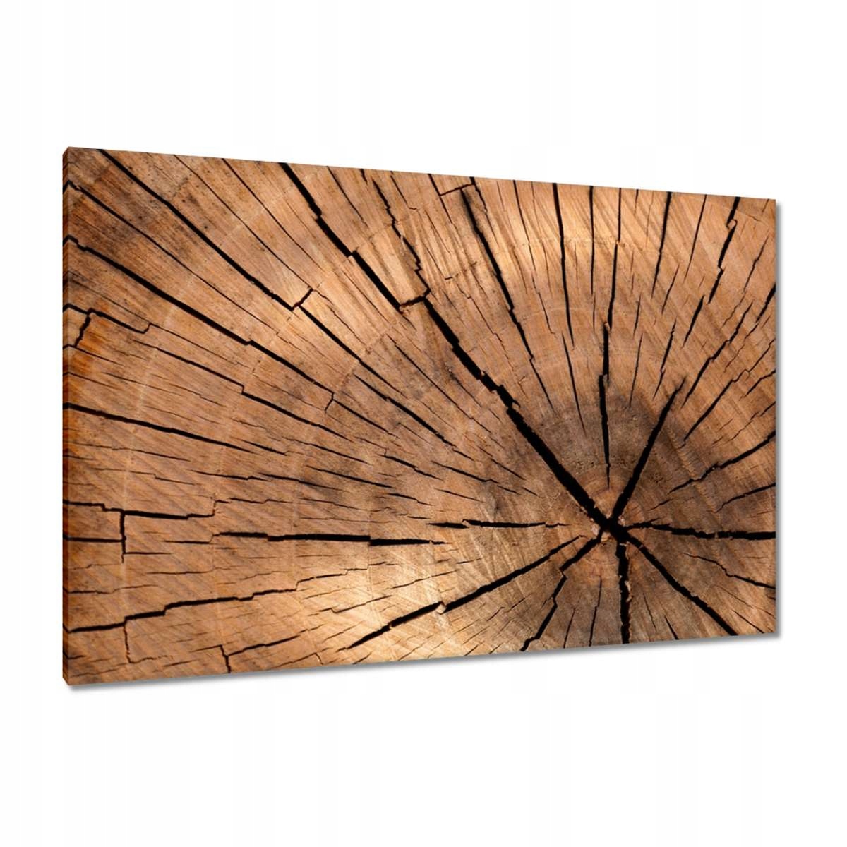 Obrazy 120x80 Sloje