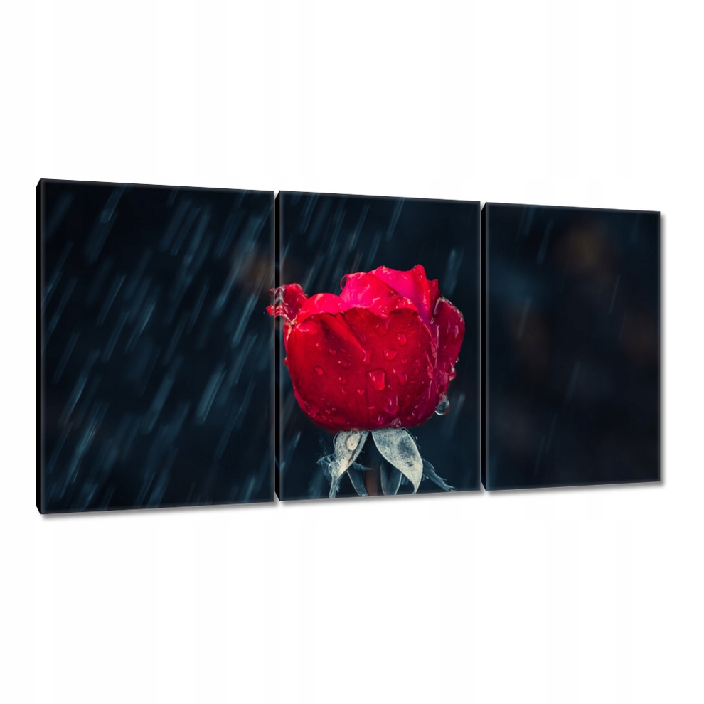 

Obrazy 120x60 Róża Kwiat Kwiaty Róże