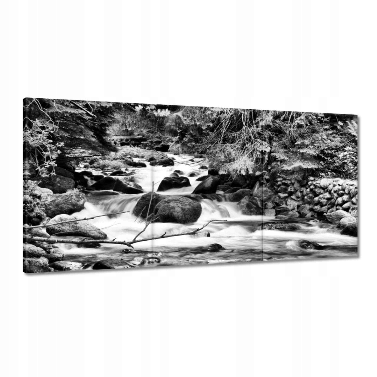 Obrazy 180x90 Tatry Poľské hory Pohľad