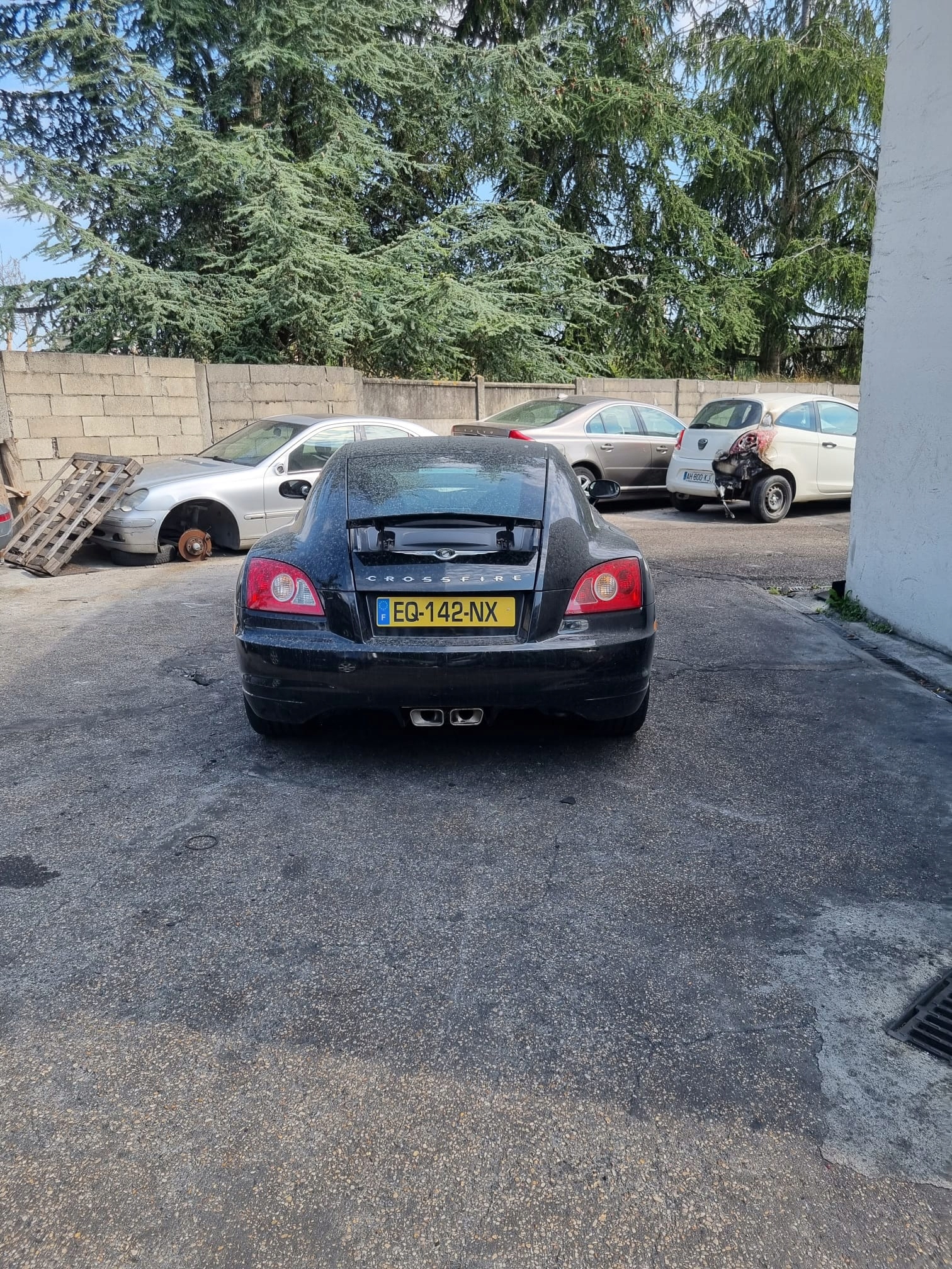 CHRYSLER CROSSFIRE ремень безопасности передний 566186701