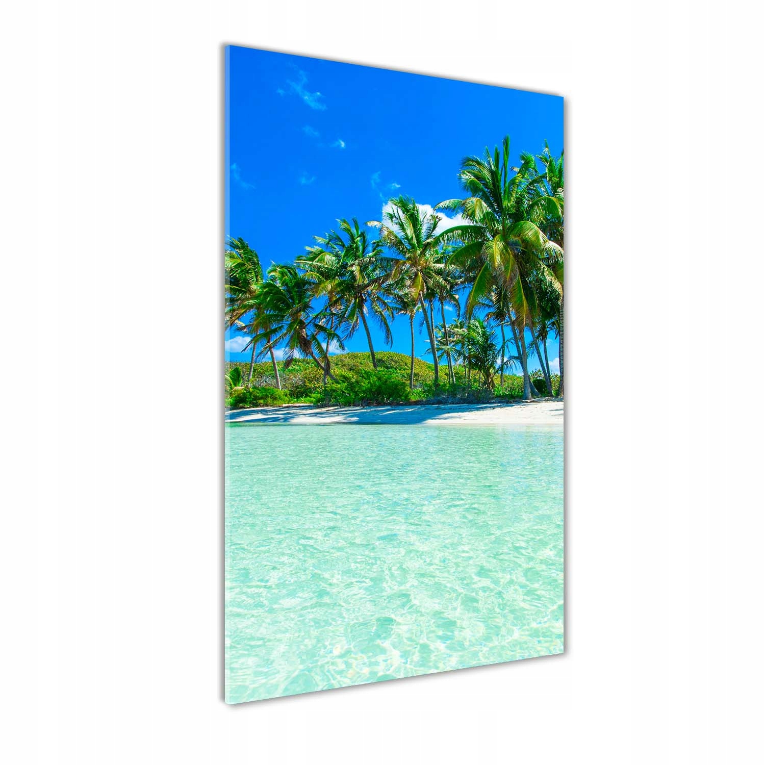 

Foto obraz szkło akrylowe Tropikalna plaża 50x100