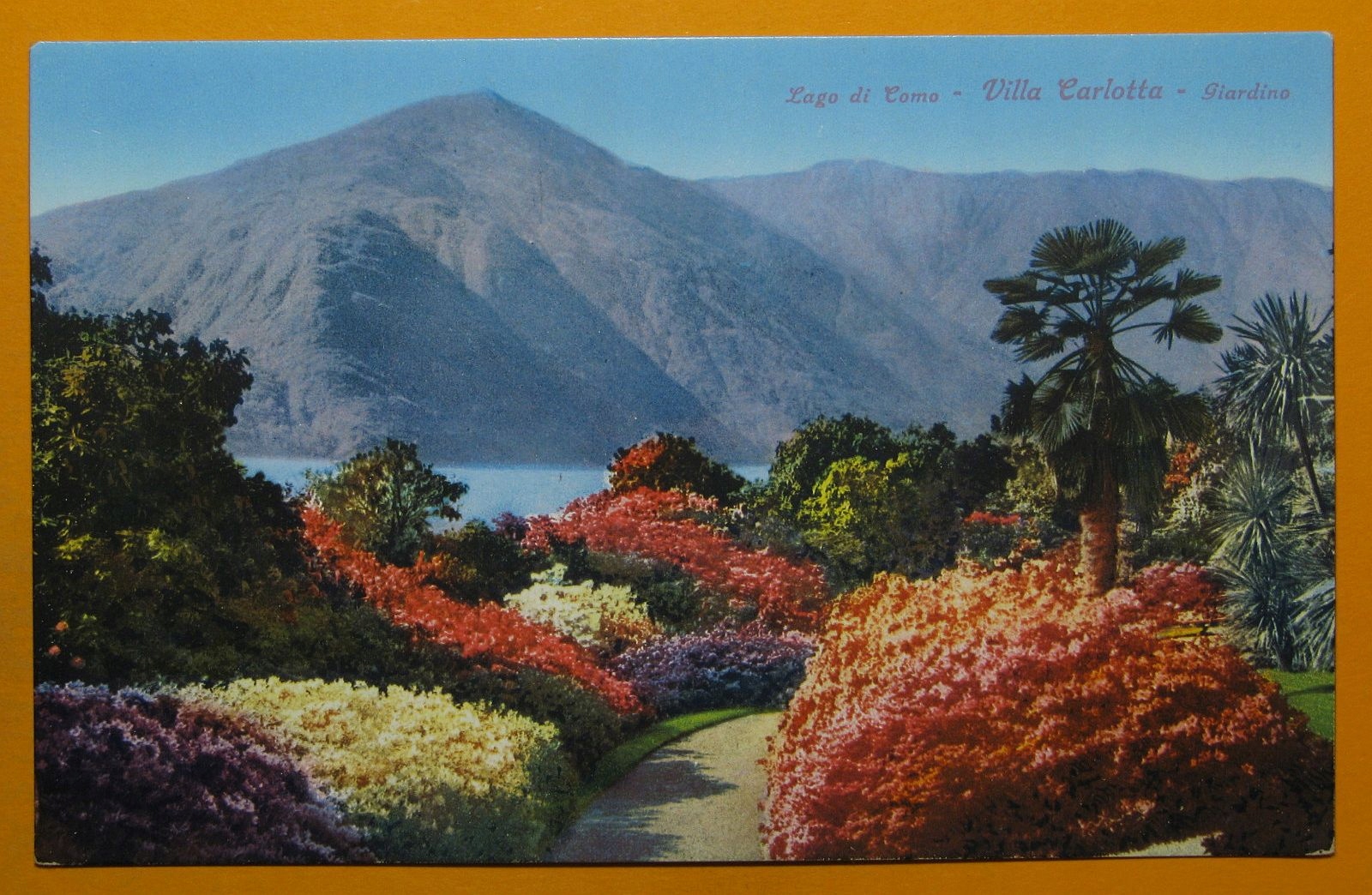 277798, Włochy, Lago di Como, Villa Carlotta, ogrody