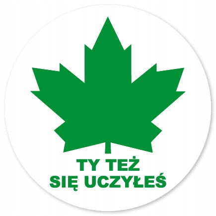 

Naklejki Zielony Listek Młody Kierowca 2 sztuki #3