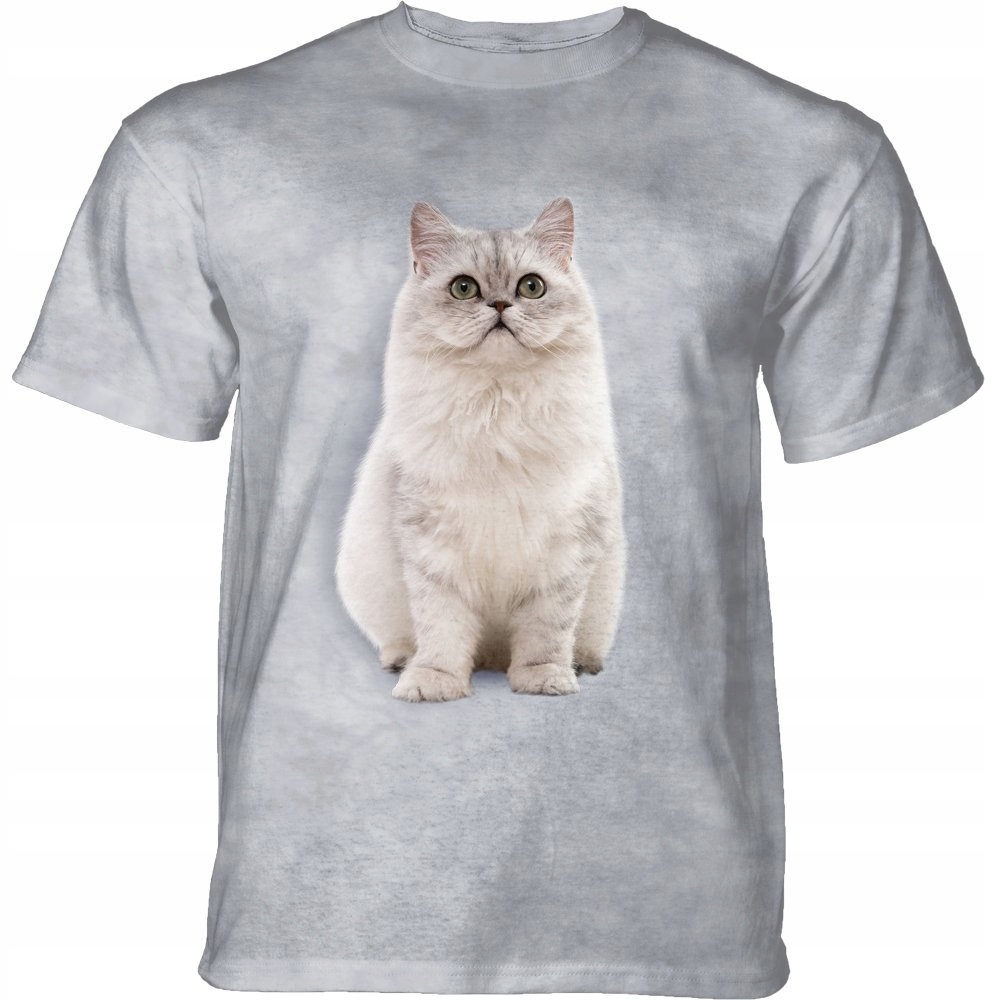 Perská kočka Hora 4XL