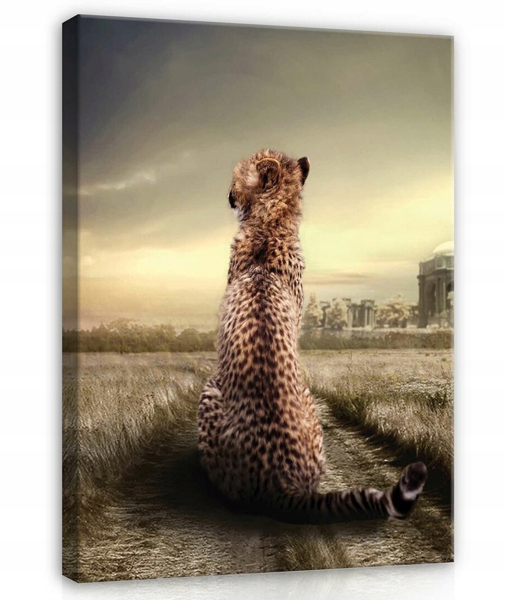 Obraz Na Plátně Canvas 75x100 Gepard Kočka Příroda