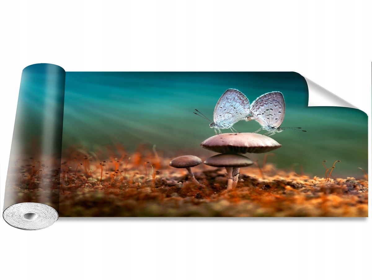 

Tapeta Samoprzylepna Motyle Grzyb 250x104