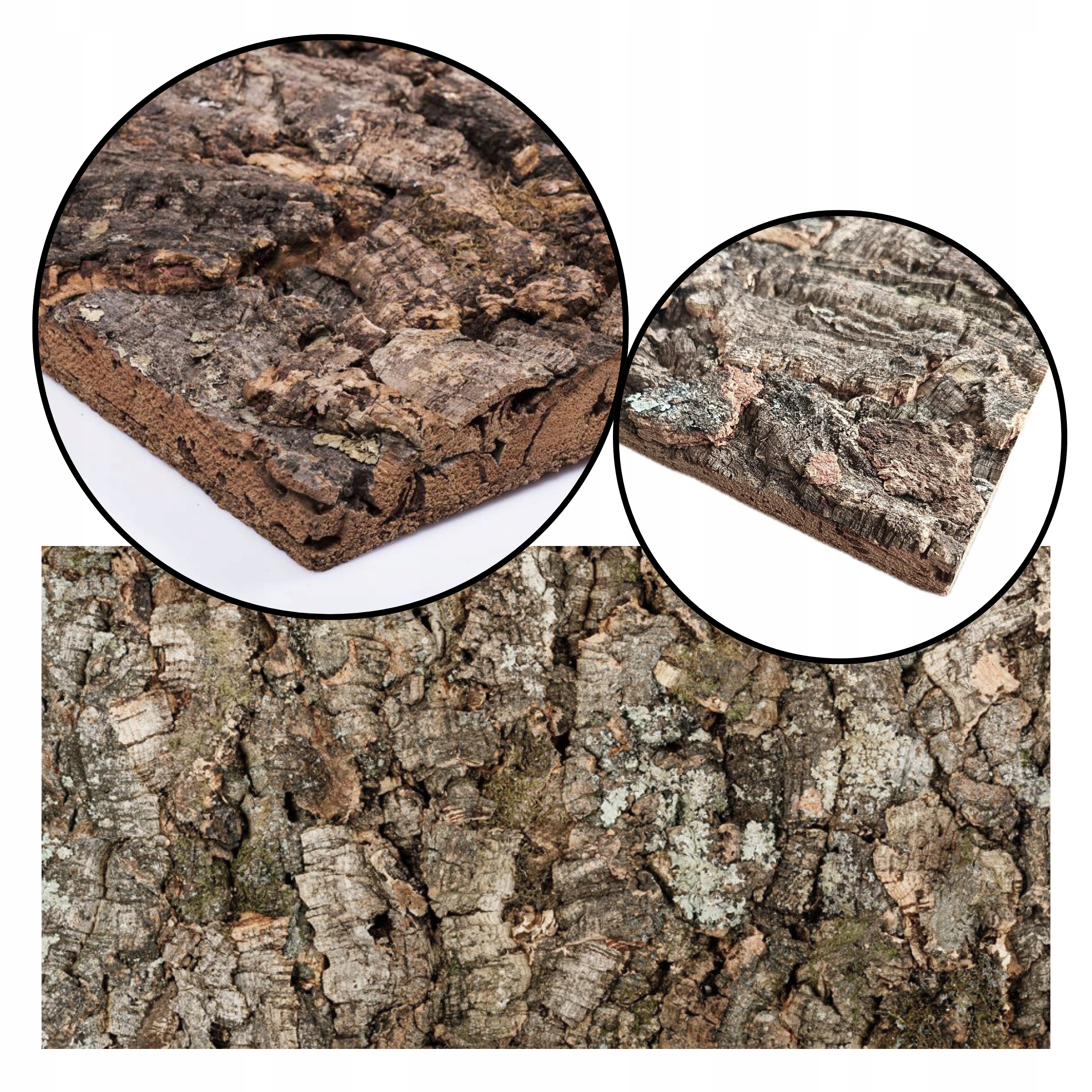 Levně Dekorativní deska Virgin z kůry korkového dubu do terária 600x300x25 mm