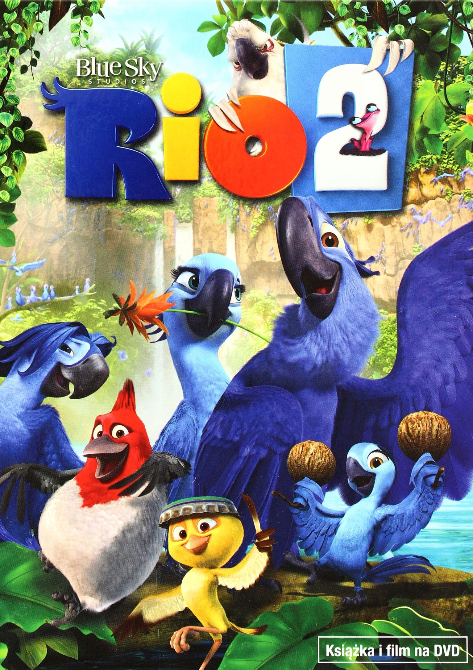 RIO 2 (BOOKLET) (DVD)