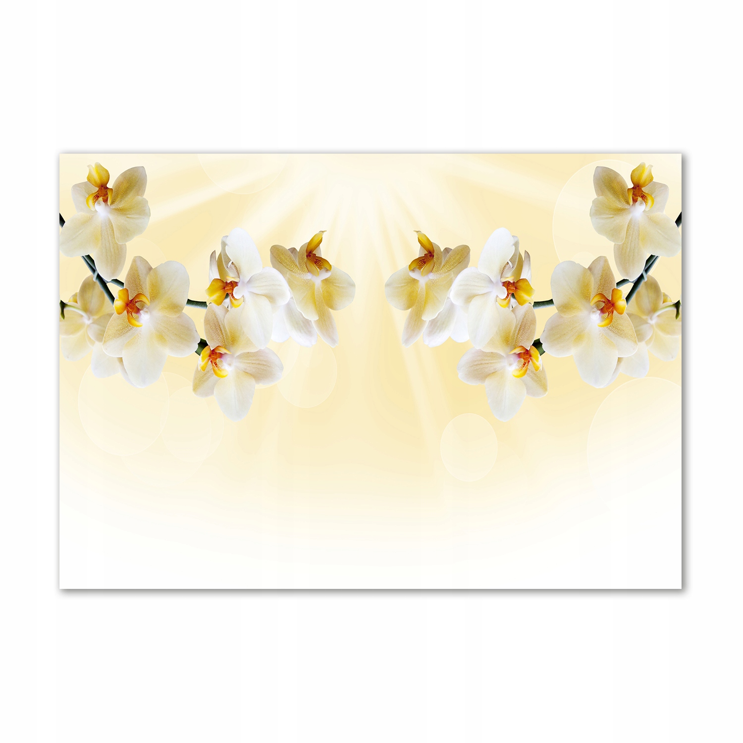 

Foto obraz szkło hartowane Orchidea 100x70
