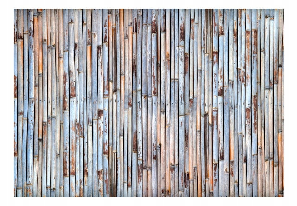 

Fototapeta - Azjatycka historia - 150X105
