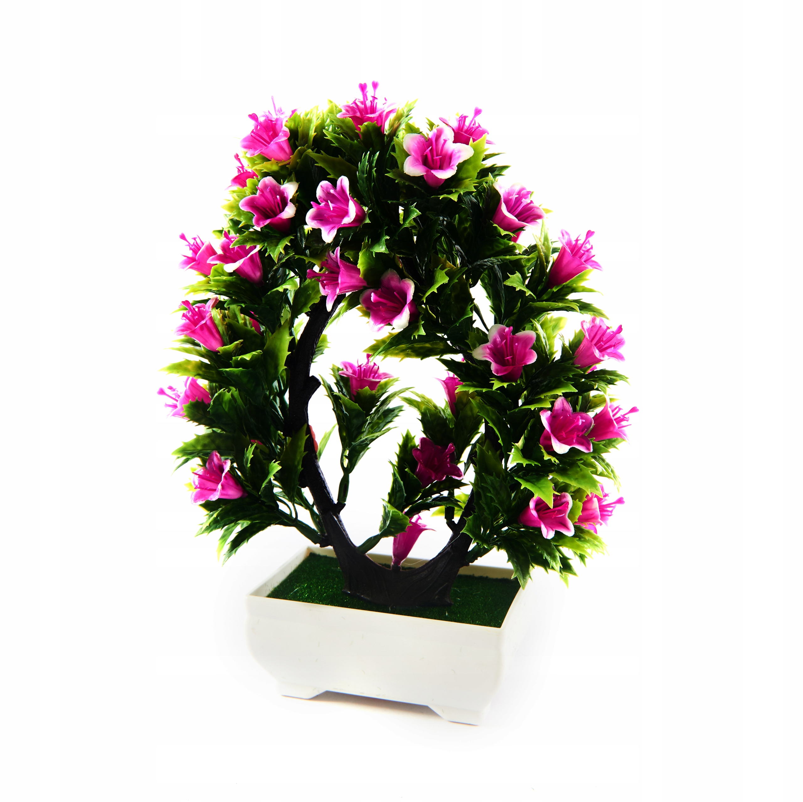 

Drzewko Bonsai W Doniczce Kwiat Różne