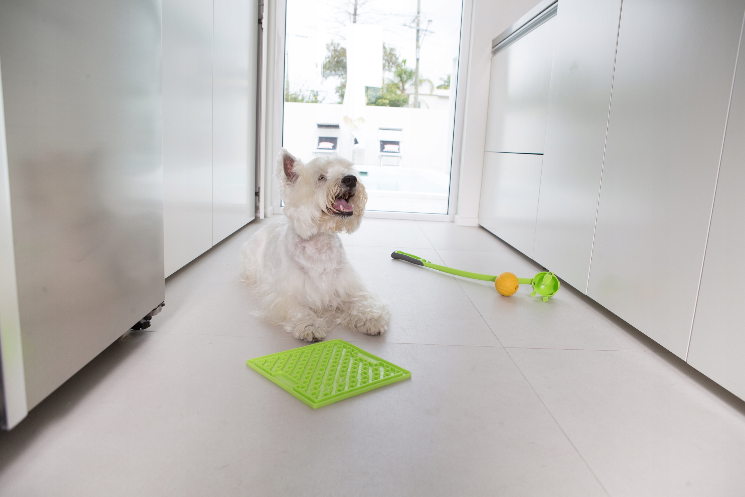 Mata SOOTHER CLASSIC LickiMat zielony Kolor zielony